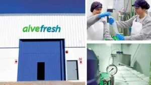 Lee más sobre el artículo El aloe vera (Aloe vera) en la elaboración de bebidas frescas y cosméticos en la región de Almería, España
